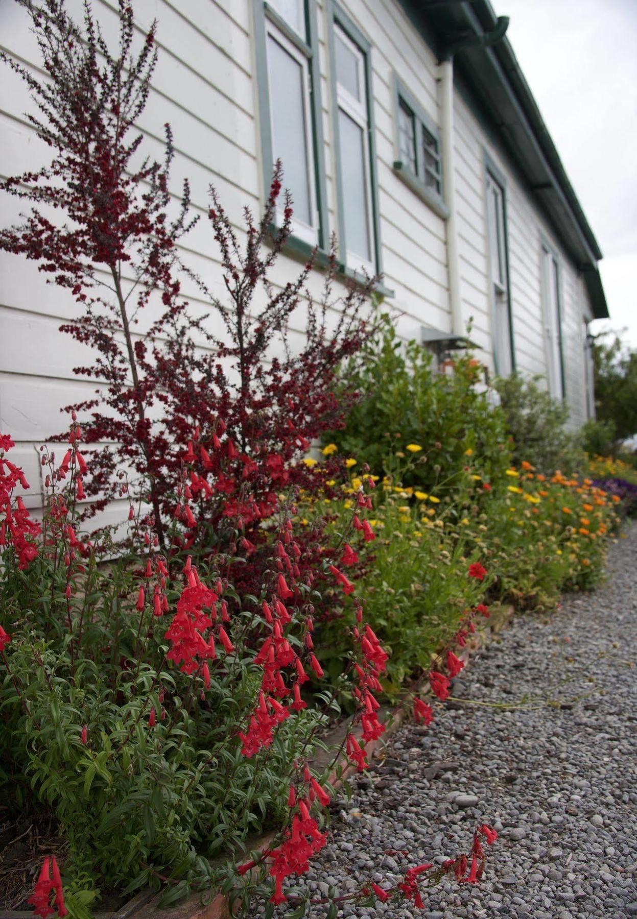 Pinedale Lodge&Apartment Methven Extérieur photo