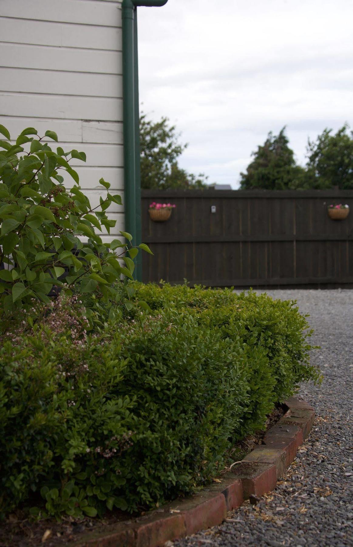 Pinedale Lodge&Apartment Methven Extérieur photo