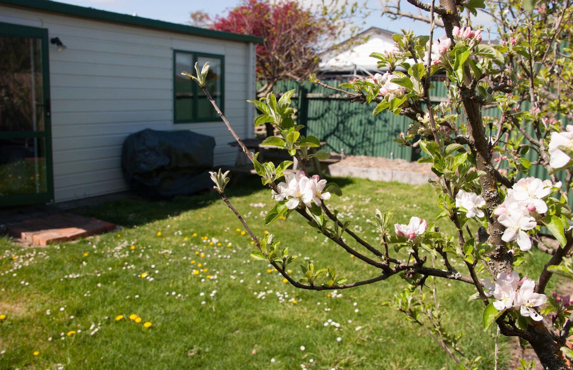 Pinedale Lodge&Apartment Methven Extérieur photo
